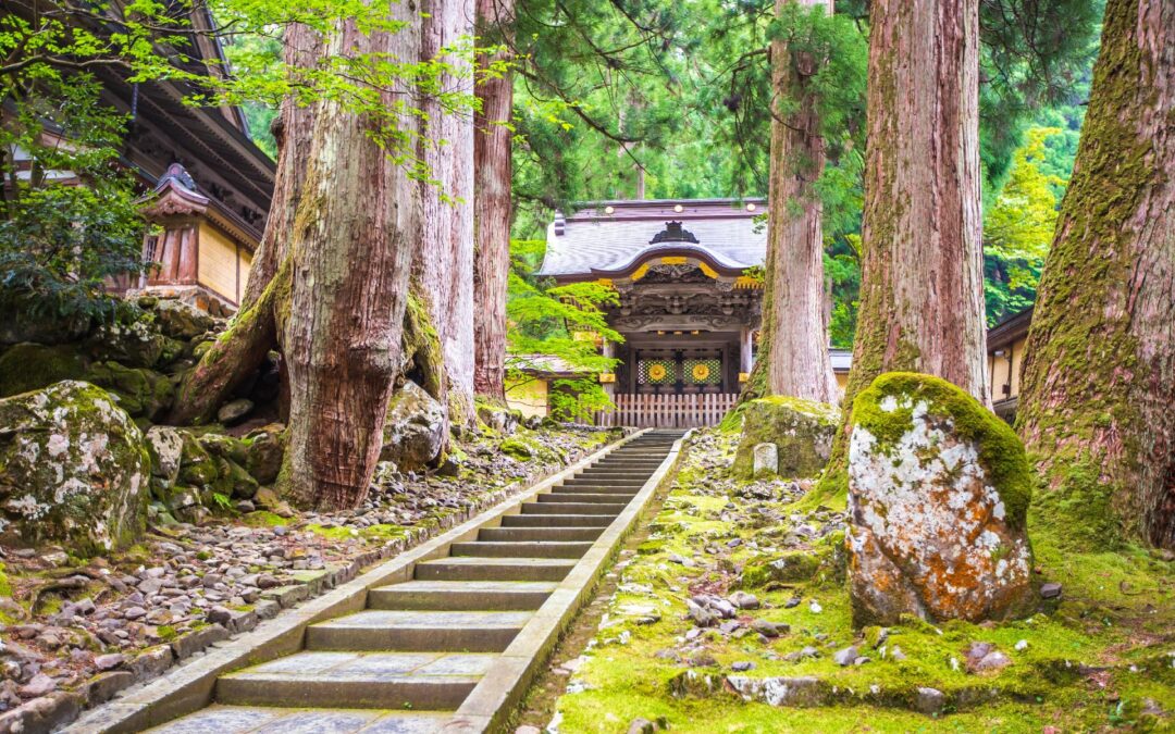 Descubre Japón Imprescindible Con Ishikawa y Fukui