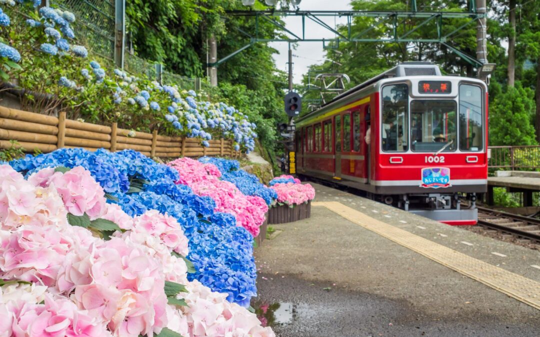 Descubre Japón Con Japón Rail Pass Ruta 9