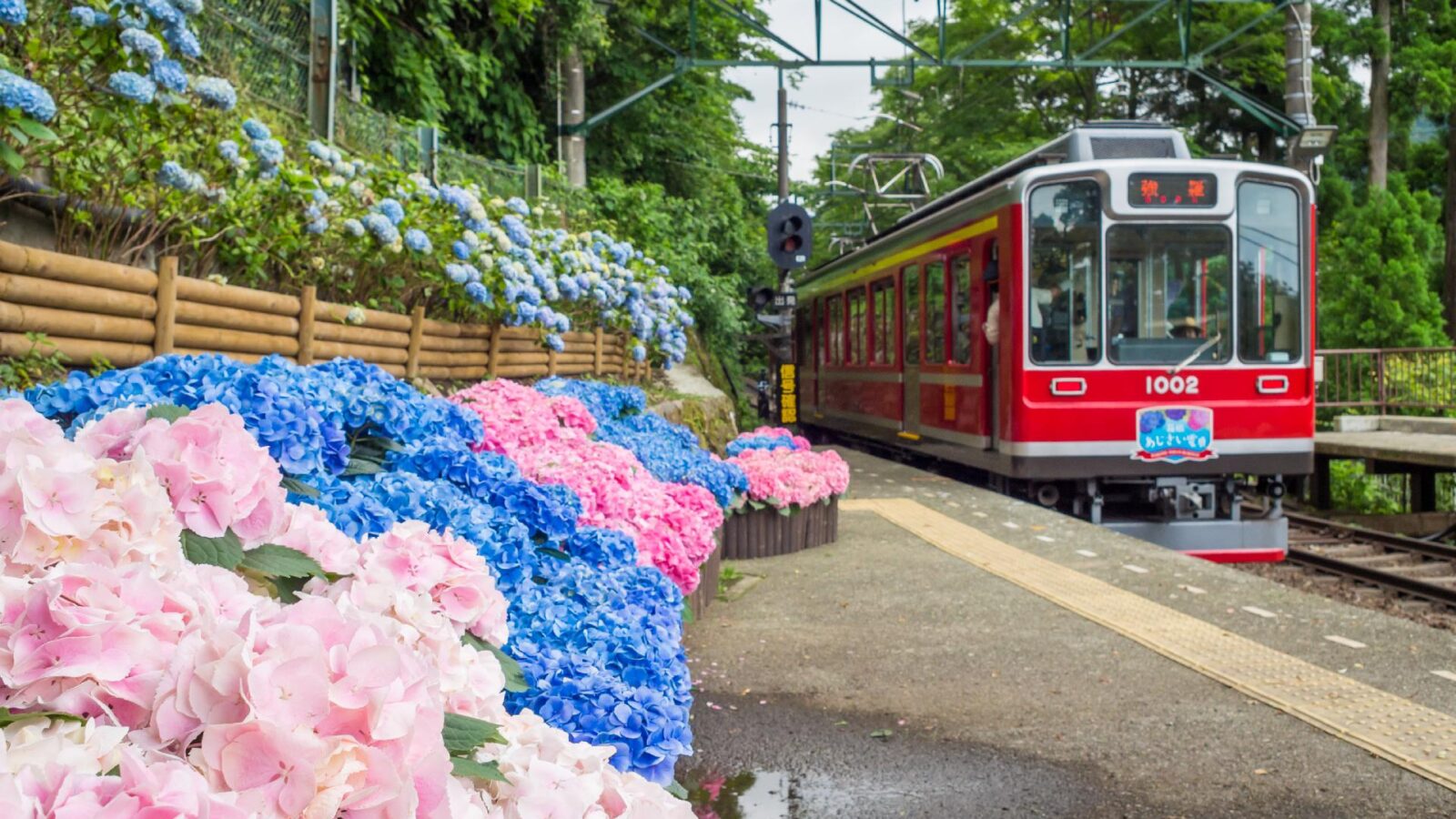 Descubre Japón Con Japón Rail Pass Ruta 9
