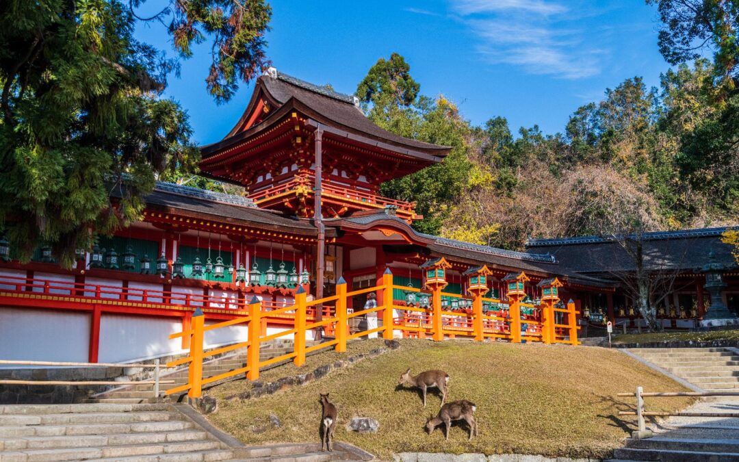 Japón Ukiyo 2: Semana Santa 2027, 21 de marzo