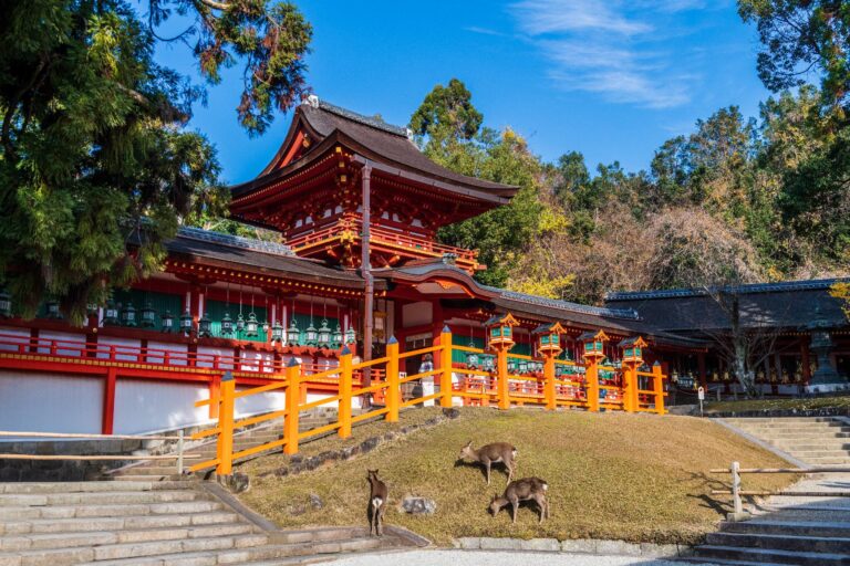 Descubre Japón Ukiyo 2 - Salida Exclusiva Icárion Semana Santa 2027 - 21 Marzo