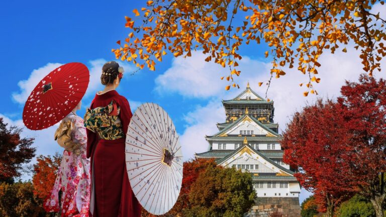Descubre Japón Sorprendente