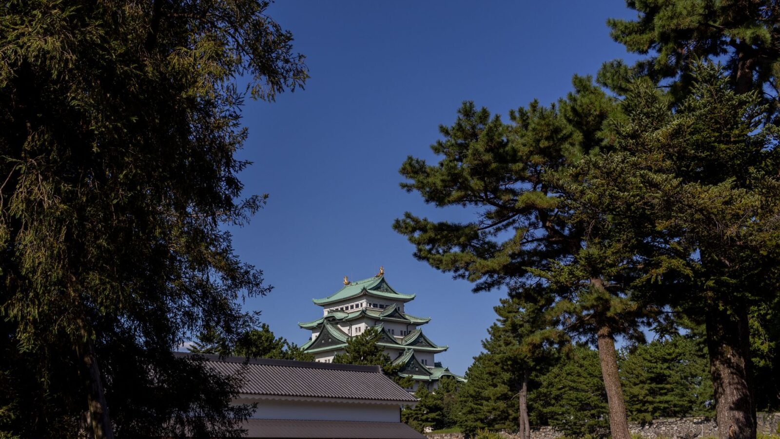 Capture of Nagoya Castle framed by lush greenery on a sunny day.