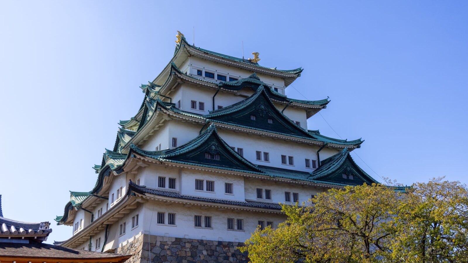 Beautiful view of Nagoya Castle with blue sky backdrop. Perfect for cultural and travel themes.