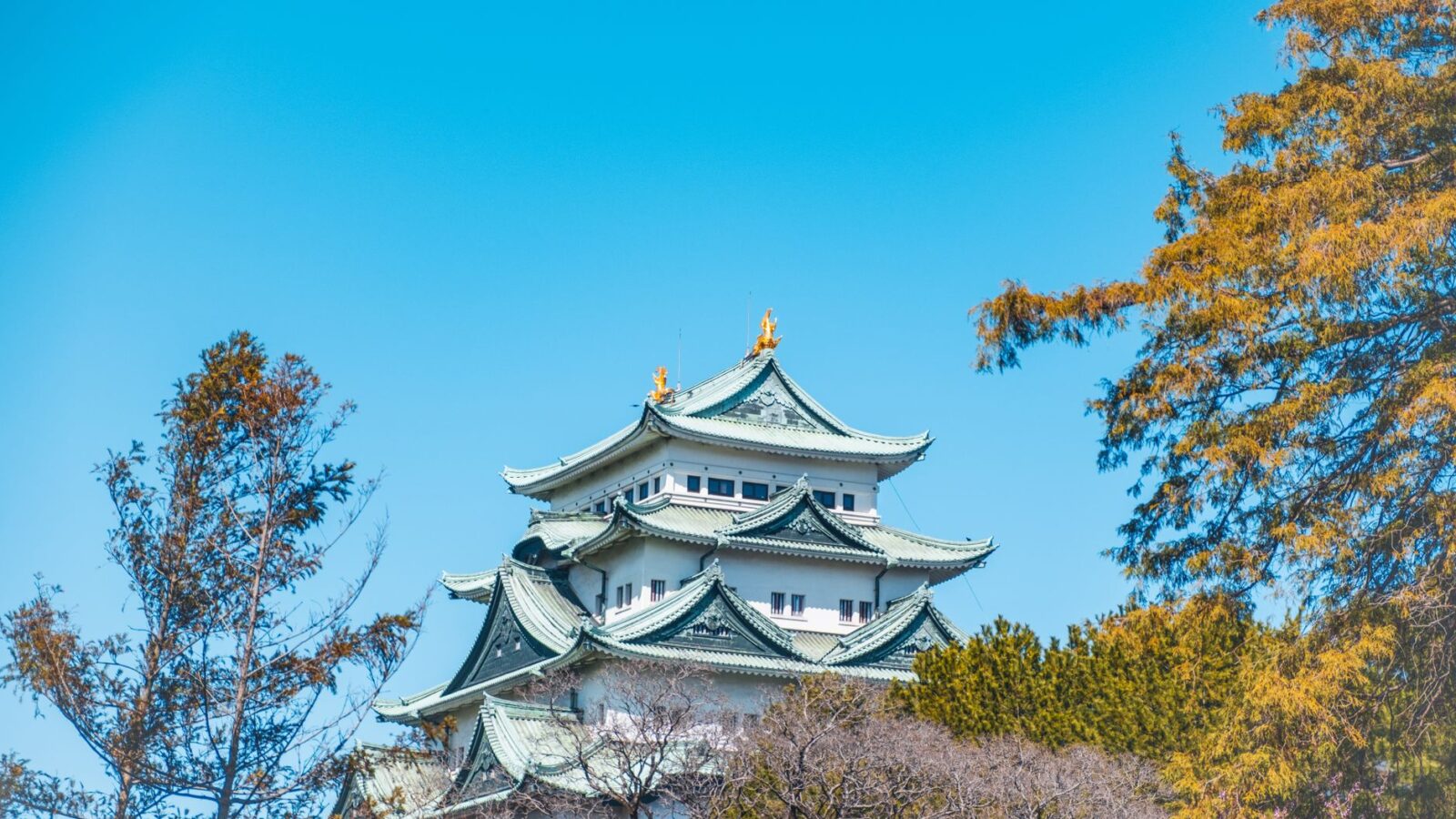 A picturesque view of Nagoya Castle surrounded by vibrant spring foliage in Japan.