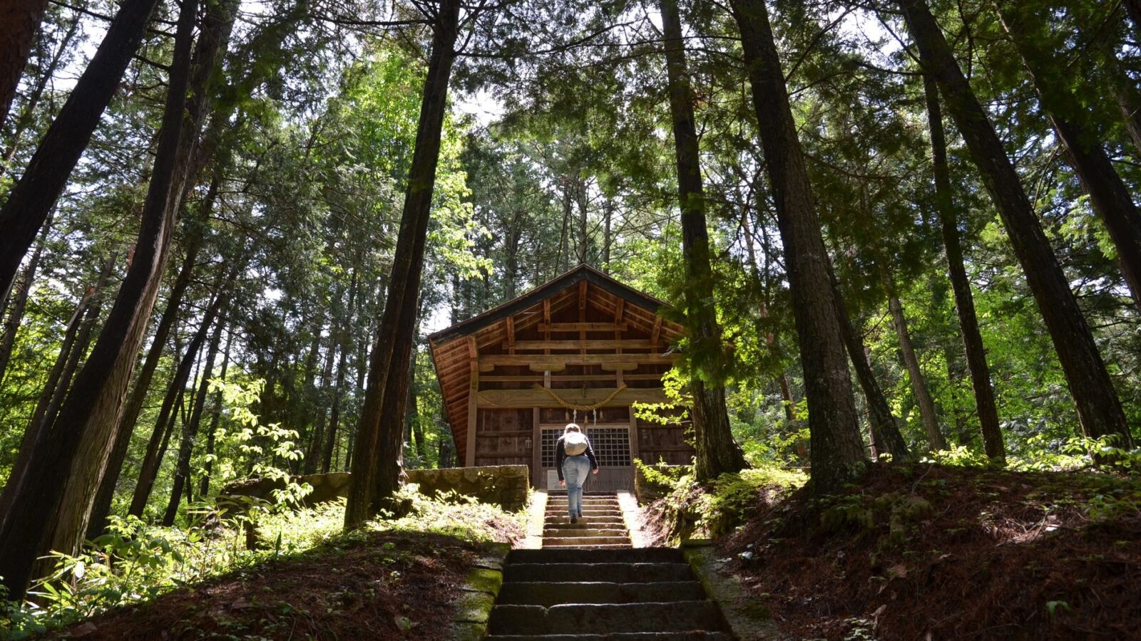 A serene view of a traditional Japanese shrine surrounded by lush forest in Takayama, Gifu Prefecture.