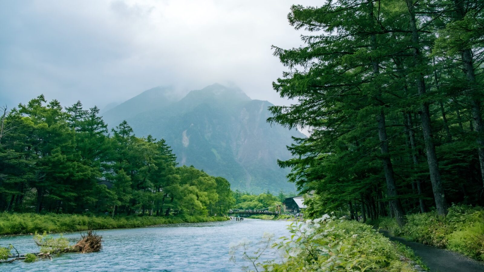 Pristine river flowing through lush forest with majestic mountains in Kamikochi, Japan.