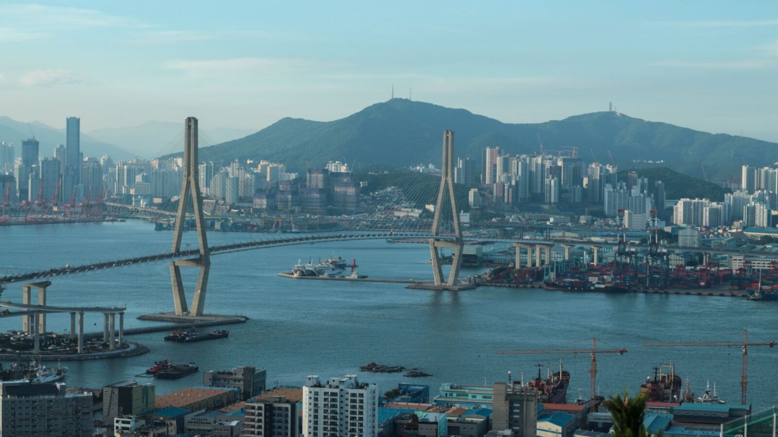 Scenic view of Busan's urban landscape with a prominent bridge and harbor.