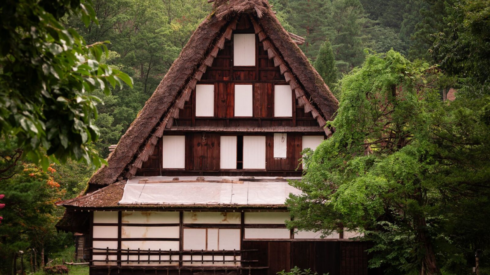 Scenic view of historic Gassho-Zukuri farmhouse surrounded by lush greenery in Takayama, Japan.