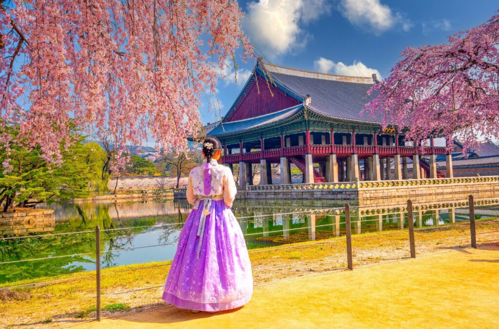 Descubre Japón Singular y Seúl