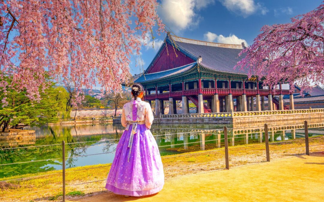 Descubre Japón Singular y Seúl